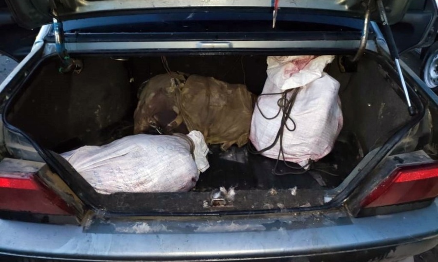 В Янтиковском районе полицейские задержали подозреваемых в браконьерстве
