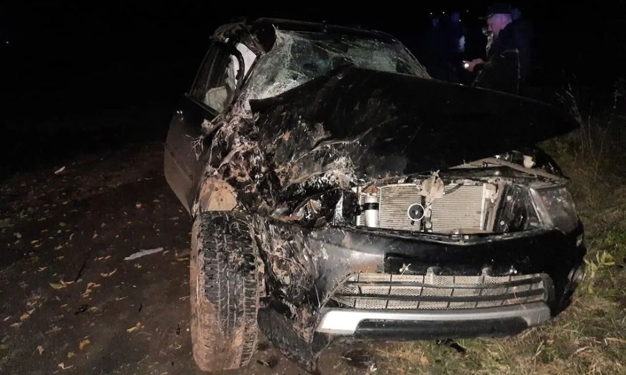 В Чебоксарском районе погиб водитель японского внедорожника