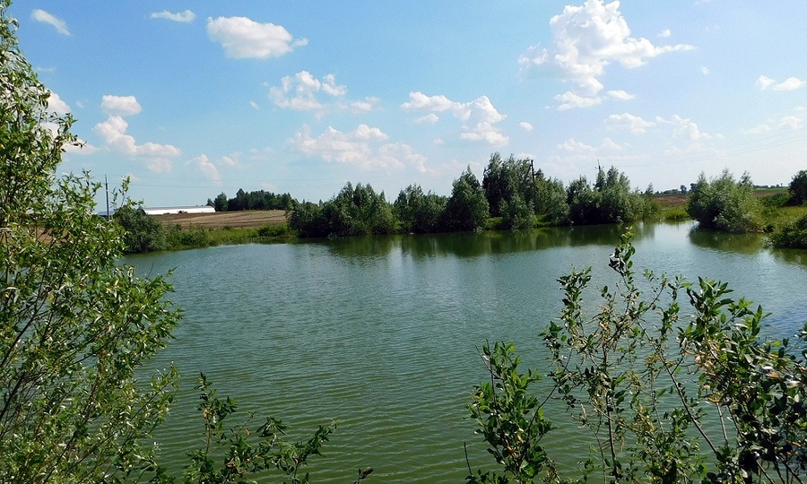 В Урмарском районе в пруду утонул местный житель