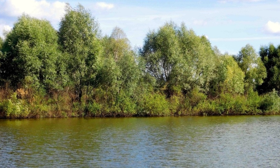В Цивильском районе в реке Аниш утонул мужчина