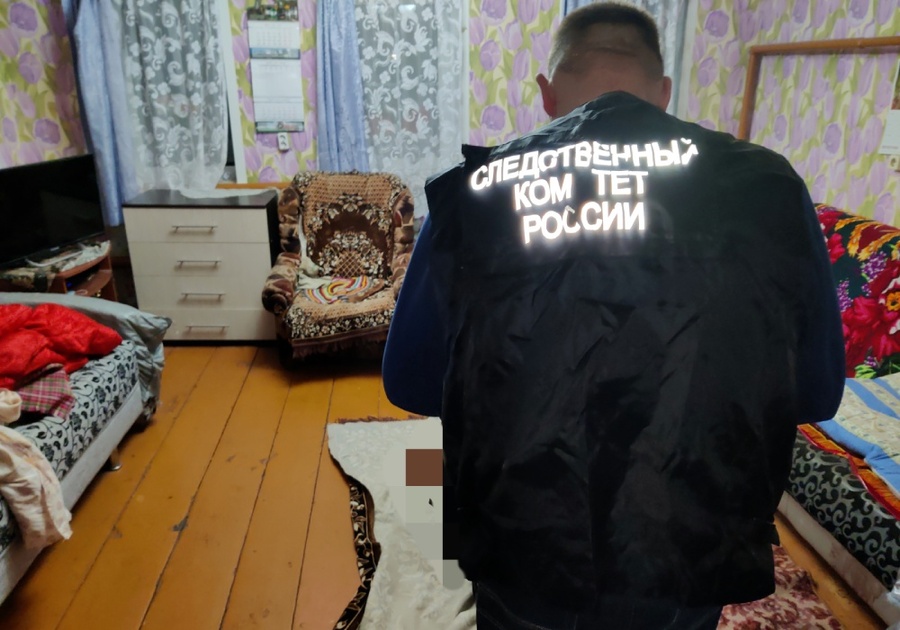 Житель Красночетайского района осужден за убийство сожительницы