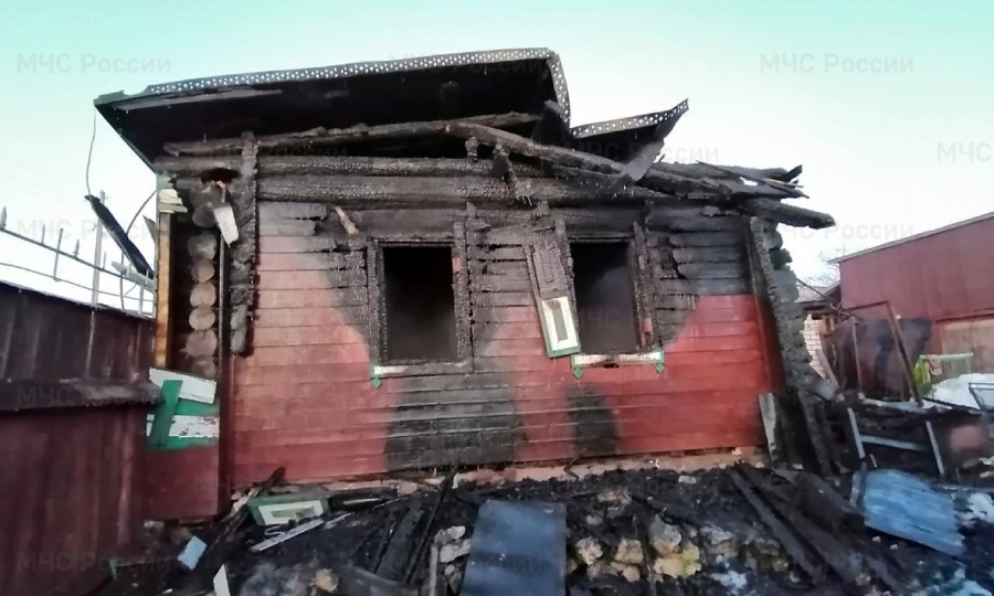 Мать и сын погибли при пожаре в Янтиковском районе