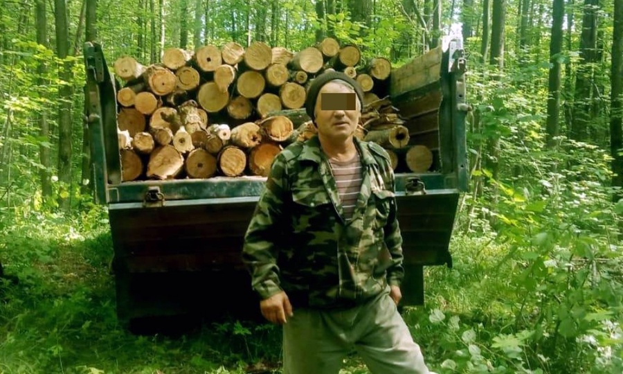 В Урмарском районе осудили мужчину за незаконную рубку леса