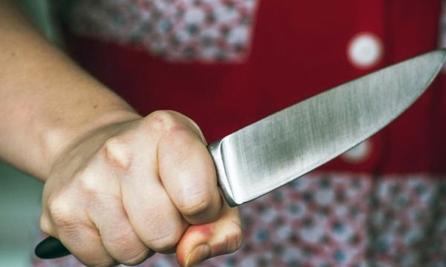 В Ядринском районе осудили женщину, которая ударила ножом свою дочь