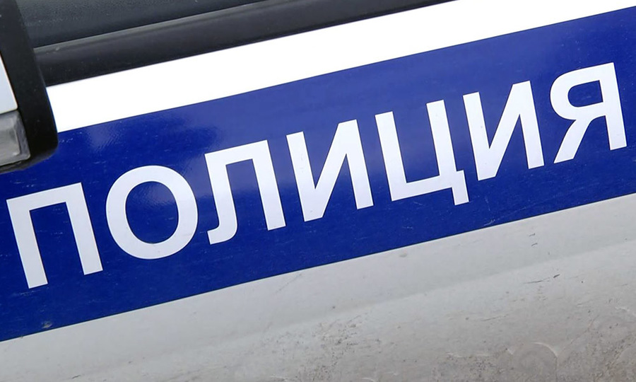 Житель Ядринского района заплатит штраф за применение насилия в отношении полицейского